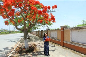 （示意图：越通社）