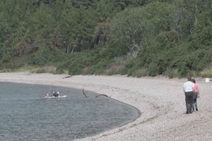 尼斯湖位于英国苏格兰地区，今年夏天当地天气比往常干燥了不少。（图：视频截图）