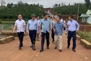 国家天灾防范指委会副主任阮黄协（前中）与工作团亲往德农省检查德讷丁蓄水库土地坍塌情况。（图：VNN）