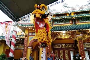 平阳关帝庙龙狮联欢