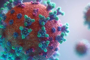 新冠病毒。（图：Unsplash）