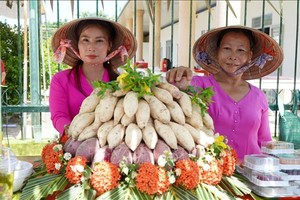 同塔省首次举办红薯盛会