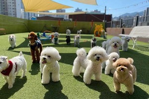 （示意图：互联网）