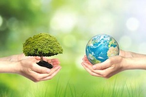 （示意图：互联网）