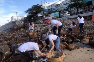 志愿者与游客清理头顿海滩垃圾