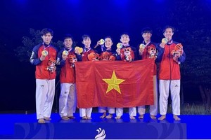 越南跆拳道队夺金。（图：互联网）