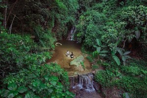 致力推广“越南之旅”