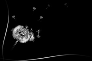 （示意图：互联网）