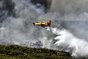 当地消防部门当天派出了295名消防员、7架飞机以及5架直升机来扑灭这场野火。（图：互联网）