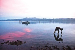 （示意图：互联网）