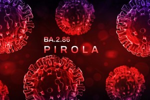 与今年流行的新冠肺炎变异株XBB.1.5相较，BA.2.86变异点35处。（示意图：Shutterstock）