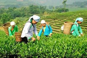 有效地宣传有助改善民众的生活。