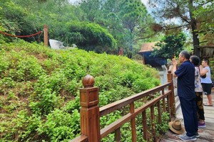 今年“九‧二”国庆假期，共有逾1万人次前往晋谒武元甲大将墓。（图：黎飞龙）