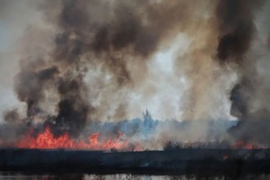 南非发生的数起火灾已影响到超过40万公顷农业用地，导致粮食作物、牧草以及各种牲畜的严重损失。（示意图：Galo Images）