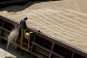 （示意图：AP）