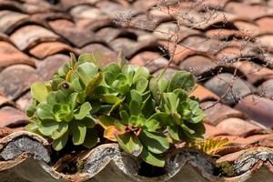 （示意图：互联网）