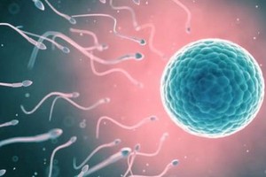 AI 或将成为解决男性不孕不育利器