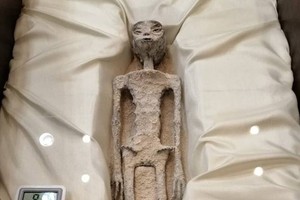 “外星生物”遗骸