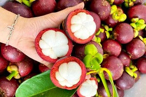 “保禄山竹” 特产获独家商标