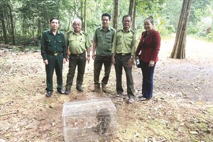 释放珍稀猕猴回归森林