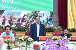 政府副总理陈留光（中）在会议上发表讲话。（图：VGP）