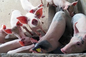 （示意图：互联网）