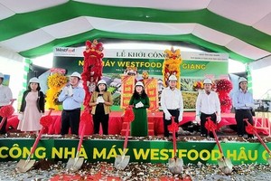 年产量３万吨农产加工厂动工