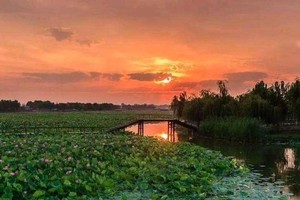 （示意图：互联网）