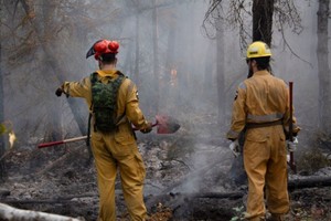 8月22日，加拿大军人在西北地区一处火场进行灭火作业。（图：新华社）