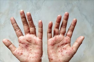 （示意图：Shutterstock/越通社）