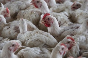 （示意图：互联网）