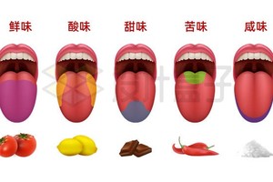 科学家或发现第六种基本味道