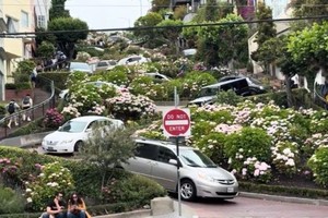 美国九曲花街（汽车群在花团锦簇中缓缓滑下，形成花街奇景）。