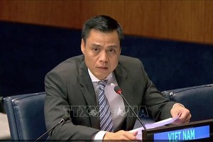 越南常驻联合国代表团团长邓黄江大使代表东盟发言，重申东盟支持国际社会实现无核武器世界的努力。（图：越通社）