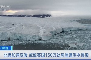 （图：CCTV视频截图）