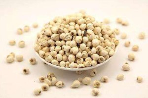 川贝７功效治肺虚久咳