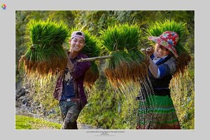 作者武文煌的《播种季节》。