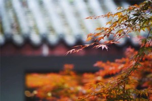 （示意图：互联网）