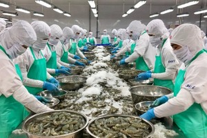 水产出口生产线。