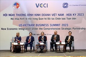 政府副总理陈流光（中）出席峰会。（图：越通社）