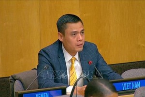 越南常驻联合国代表团团长邓黄江大使。（图：越通社）