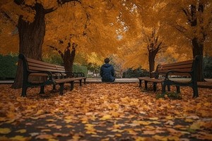 （示意图：互联网）