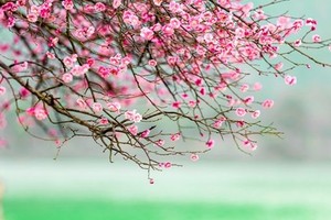 （示意图：互联网）