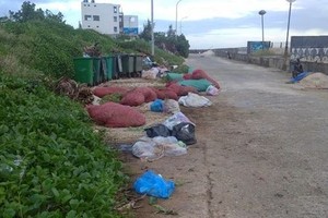 李山岛上的垃圾集中在收集點。（图：范英）