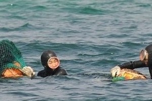 韩国海女捕捞成为重要农业文化遗产