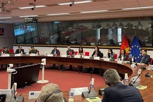 越南与欧盟联合委员会第四次会议近日在比利时布鲁塞尔举行。（图：越通社）