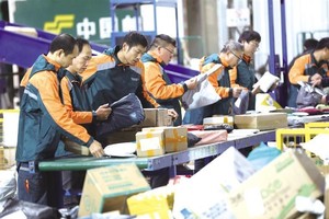 11月12日，工作人员在中国邮政集团有限公司湖南省永州市道县分公司邮件处理中心分拣快递包裹。（图：新华社）