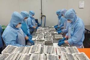 水产领域企业亟需资金为年底产销活动服务。