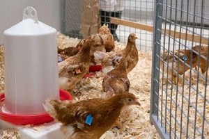 （示意图：互联网）