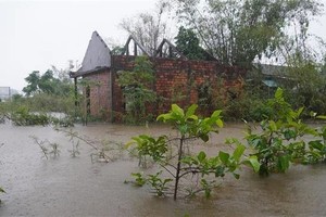 连日来，广治省海陵县许多地势低洼的乡村已被深水淹没。（图：越通社）